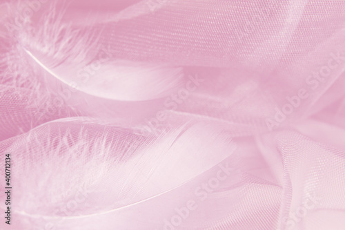 Gentle feathers on tulle background in pink tones