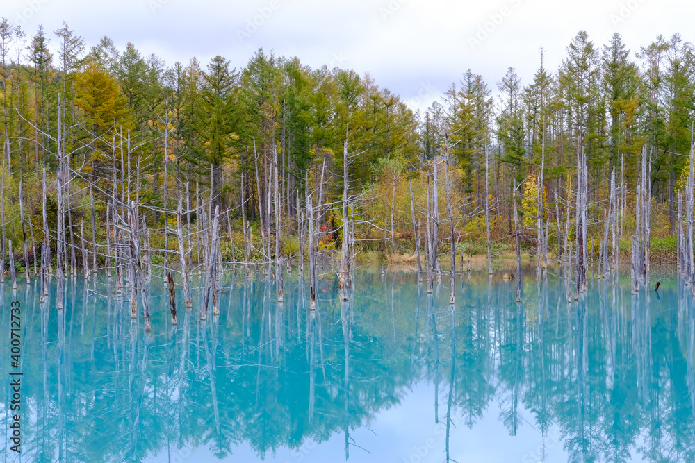 北海道美瑛の青い池 北海道美瑛の青い池