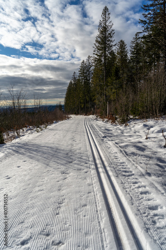 Todtnauberg im Schwarzwald