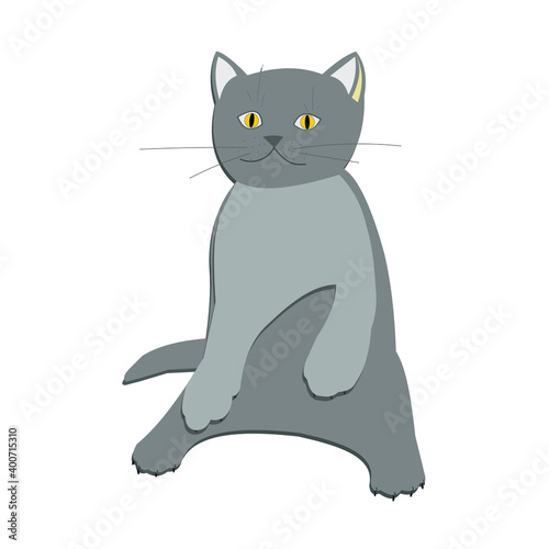 Cute little gray kitten sits on its hind legs on a white background. Vector illustration.