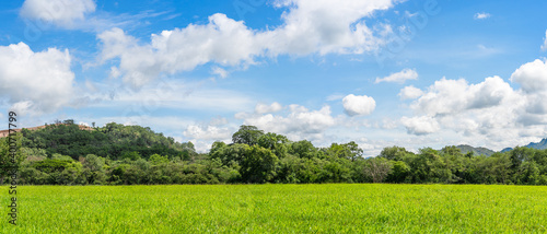 Panorama landscape view of green grass field agent blue sky