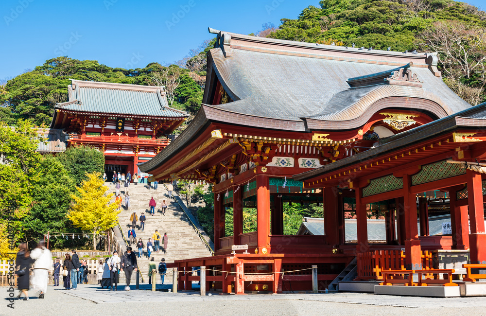 鎌倉 鶴岡八幡宮 鎌倉 鶴岡八幡宮