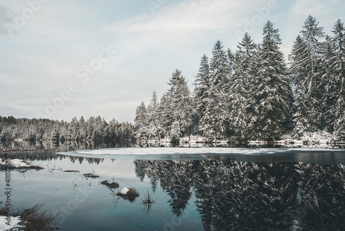 Winterlandschaft Étang de la Gruère
