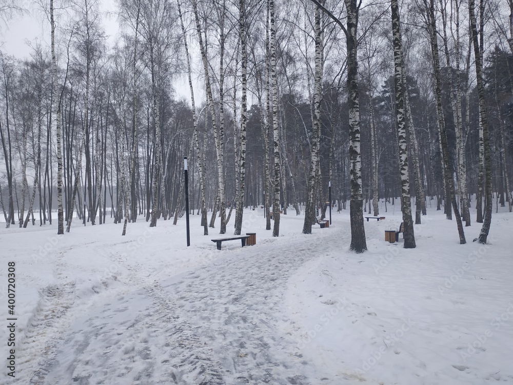Fototapeta premium Зимний парк, лавочки, фонари, много снега, дорожка в снегу