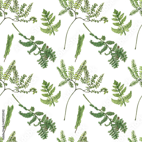 Seamless background with watercolor ferns