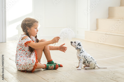 Bild auf Leinwand Little girl playing with white feather dalmatian puppy