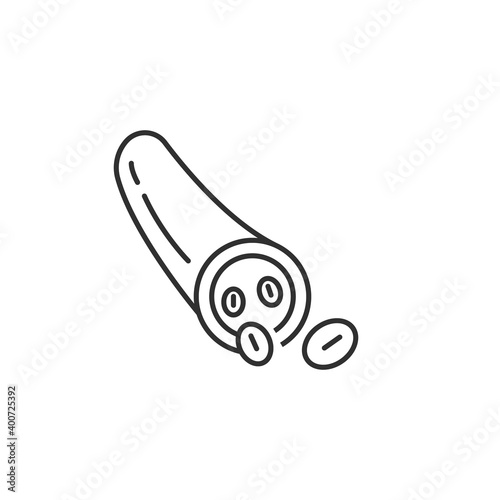 Blood vessel flat line icon.