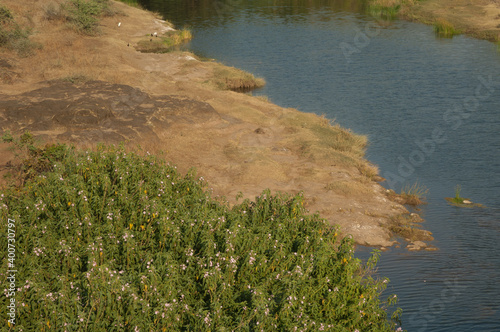 Hiran river as it passes through Sasan. Gir Sanctuary. Gujarat. India. photo