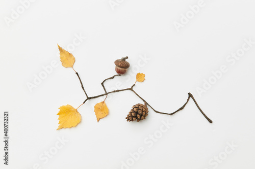 Autumnal leaves and twigs