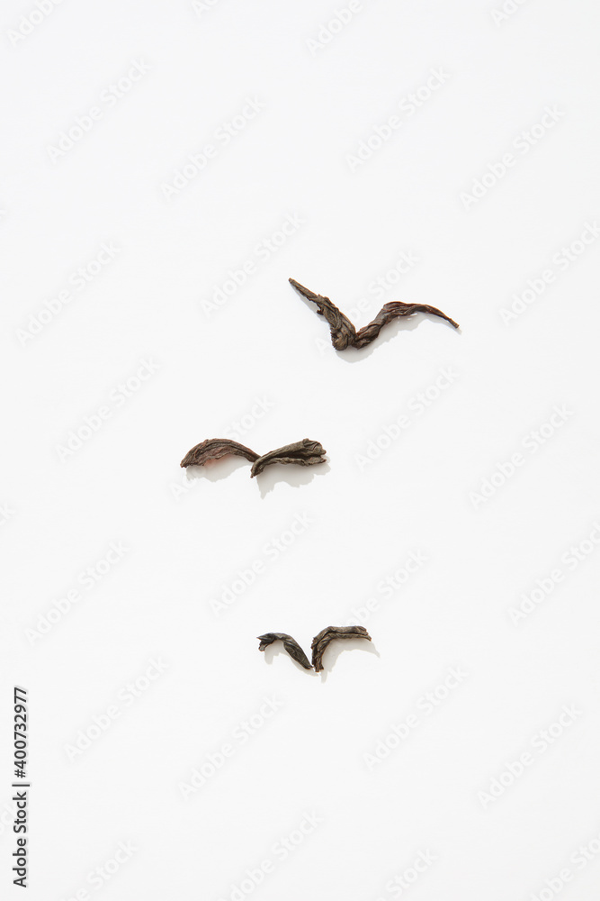 Fototapeta premium Autumnal leaves as birds