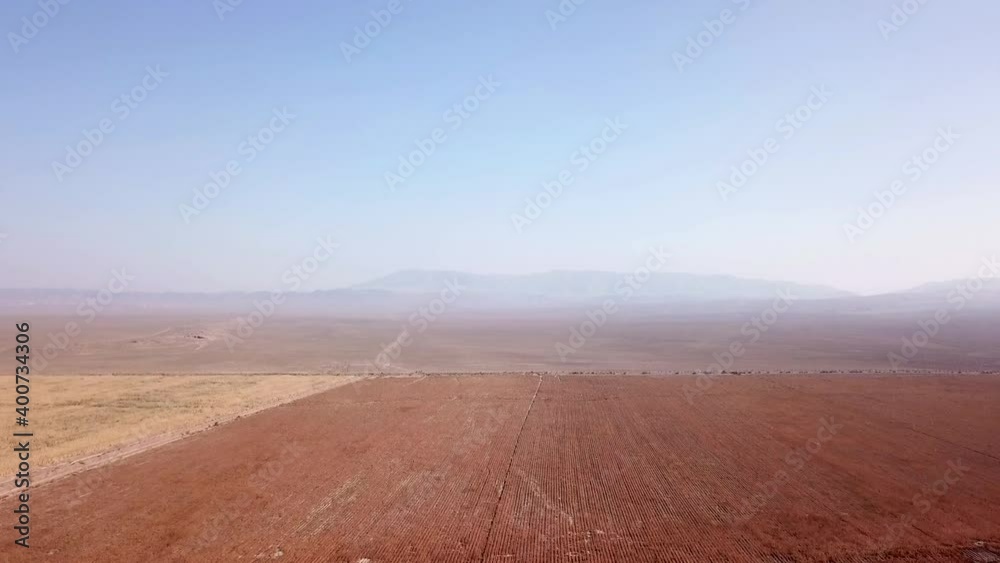 Aerial view of autumn farm fields from a drone. One field is red, the other yellow. In the distance, you can see hills, blue sky and steppe. Dry land. Workers are standing, a car is driving. Harvest. Aerial view of autumn farm fields from a drone. One field is red, the other yellow. In the distance, you can see hills, blue sky and steppe. Dry land. Workers are standing, a car is driving. Harvest.