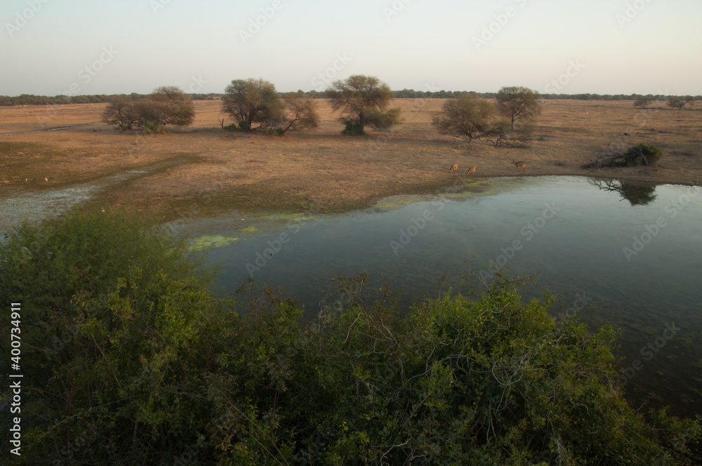 Lagoon and plain in Keoladeo Ghana National Park. Bharatpur. Rajasthan. India.