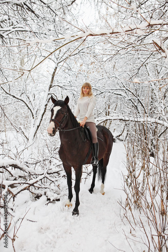 Horse and equestrian model girl in winter snow woods 