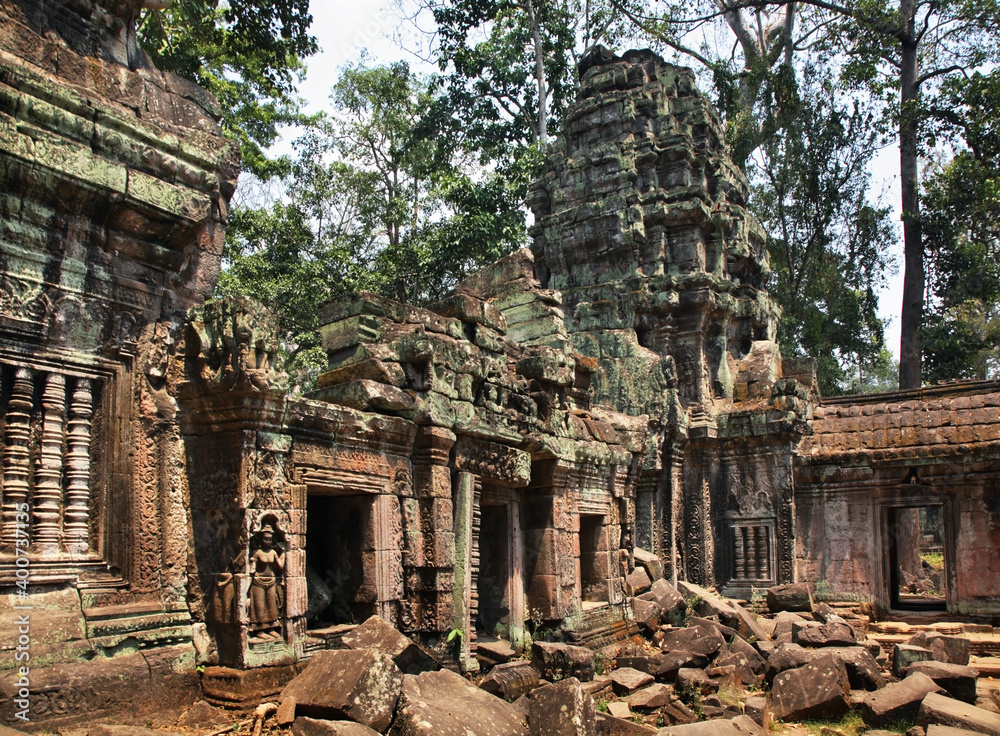 Ta Prohm temple at Angkor. Siem Reap province. Cambodia