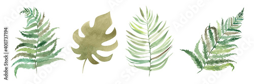 Set with watercolor tropical leaves. Botanical illustration. Fern, palm.