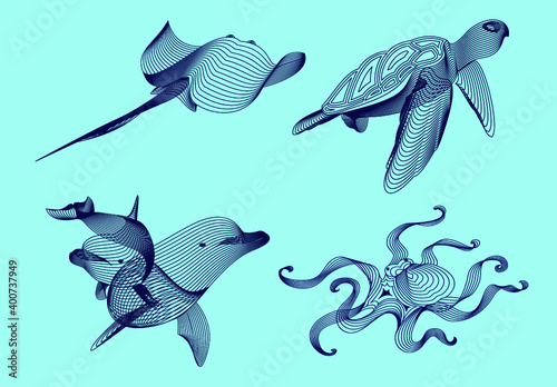 Set marine graphic animals. Vector illustration. The cramp,  dolphin, octopus, turtle consist of lines.Digital elements design  for business cards, invitations, gift cards, flyers and brochures, web.