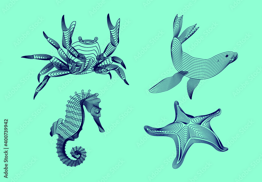 Fototapeta premium Set marine graphic animals. Vector illustration. The crab, starfish, sea horse, seal consist of lines.Digital elements design for business cards, invitations, gift cards, flyers and brochures, web.