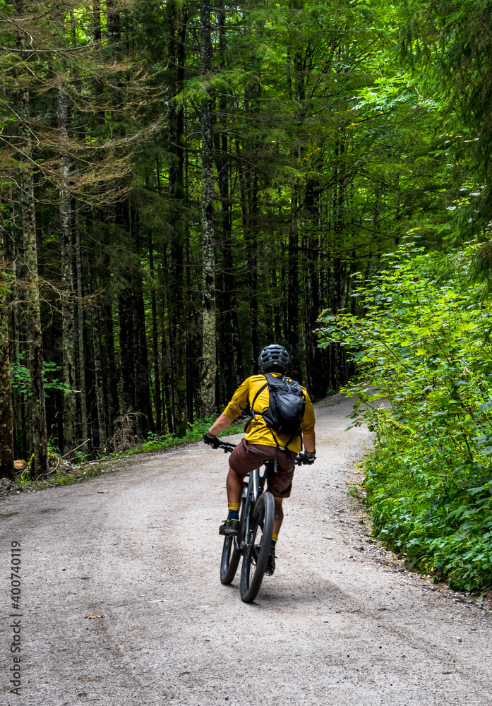 Naklejka premium Young Man On Mountainbike Drives On Gravel Road Through Forest