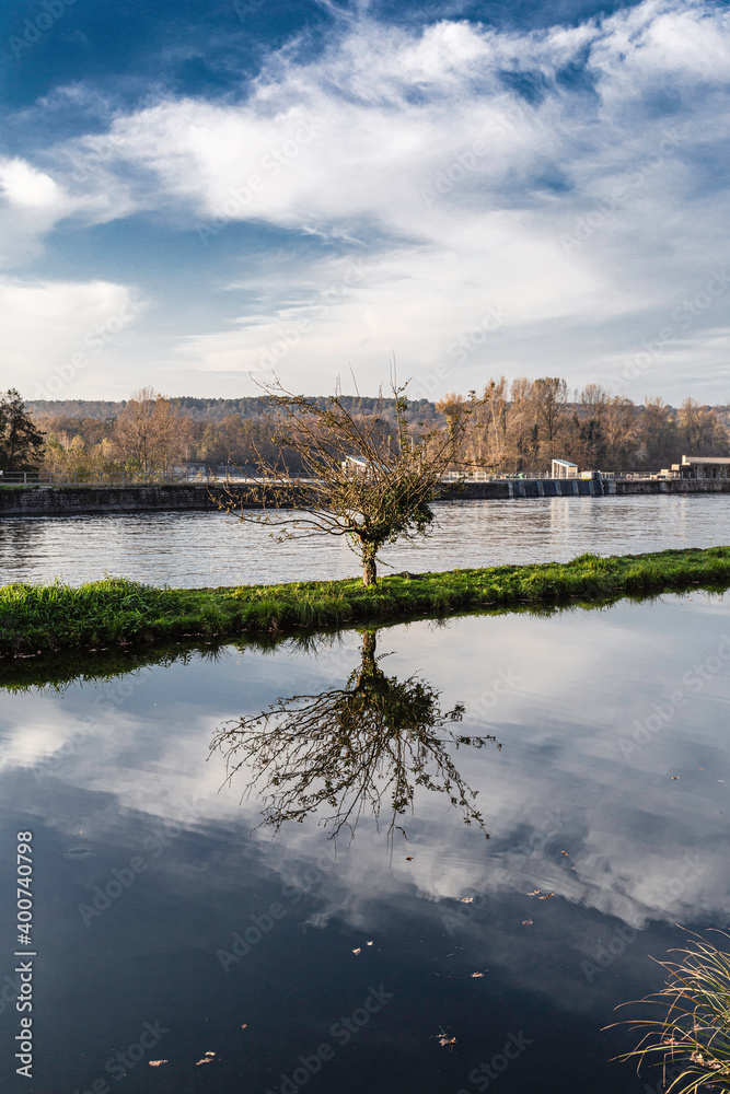 Tree reflected on the waters of the river Ticino. Somma Lombardo, Lombardy. Italy