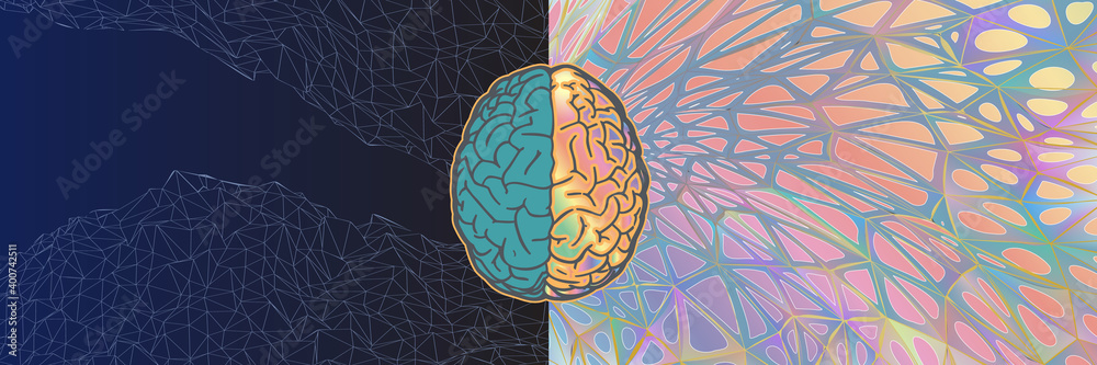 Left and right brain functional vector art concept illustration Stock ...