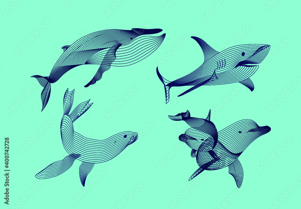 Set marine graphic animals. Vector illustration. The shark, whale, dolphin, seal consist of lines.Digital elements design for business cards, invitations, gift cards, flyers and brochures, web. Set marine graphic animals. Vector illustration. The shark, whale, dolphin, seal consist of lines.Digital elements design for business cards, invitations, gift cards, flyers and brochures, web.