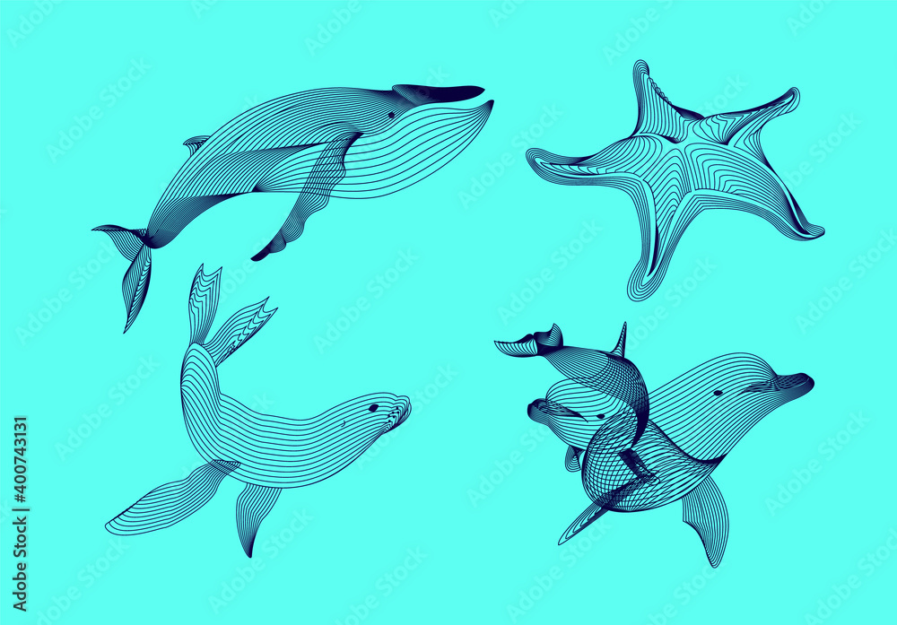 Set marine graphic animals. illustration. The starfish, whale, dolphin, seal consist of lines.Digital elements design for business cards, invitations, gift cards, flyers and brochures, web. Set marine graphic animals. illustration. The starfish, whale, dolphin, seal consist of lines.Digital elements design for business cards, invitations, gift cards, flyers and brochures, web.