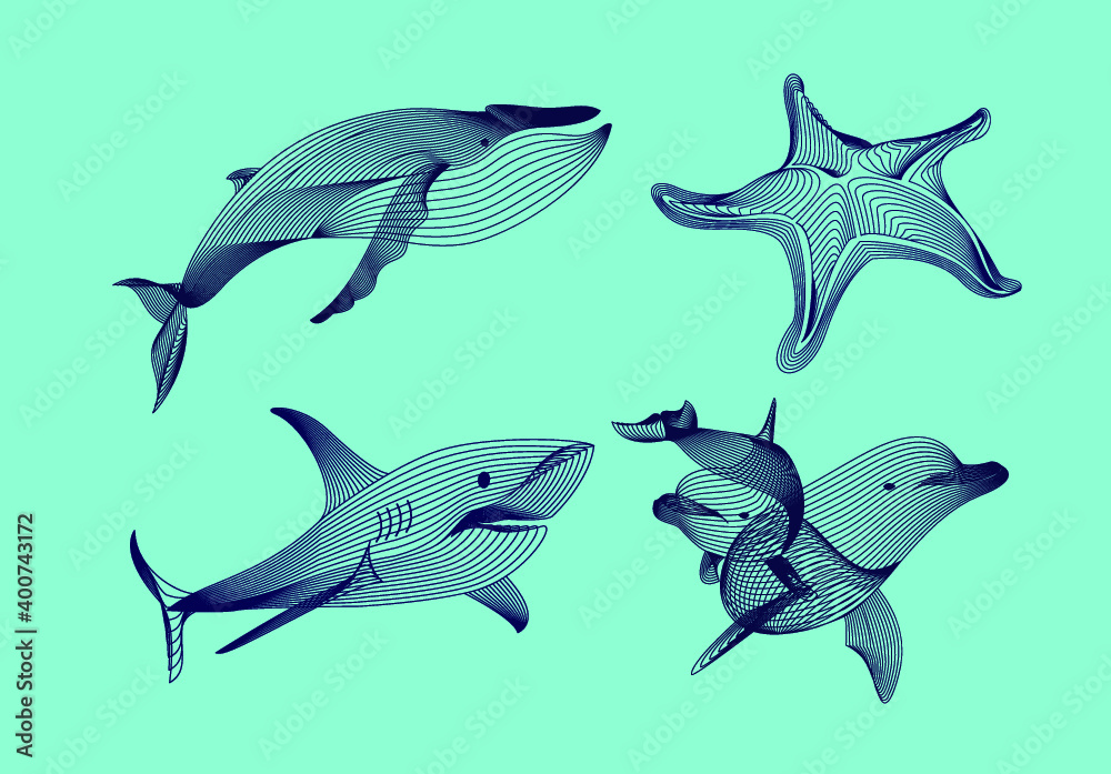 Fototapeta premium Set marine graphic animals. Vector illustration. The starfish, shark, whale, dolphin consist of lines.Digital elements design for business cards, invitations, gift cards, flyers and brochures, web.