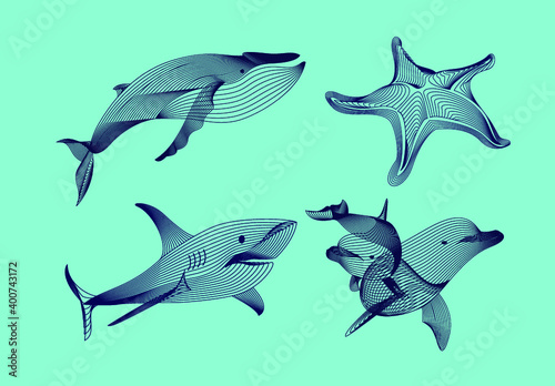 Set marine graphic animals. Vector illustration. The starfish  shark  whale   dolphin consist of lines.Digital elements design  for business cards  invitations  gift cards  flyers and brochures  web.