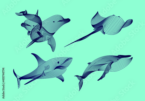 Set marine graphic animals. Vector illustration. The shark, whale,  dolphin,  cramp consist of lines.Digital elements design  for business cards, invitations, gift cards, flyers and brochures, web. photo