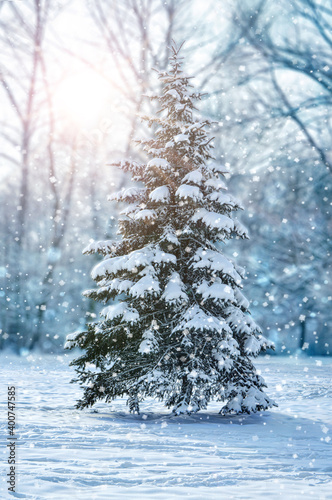 Beautiful natural christmas tree in a winter landscape with snow and light flare