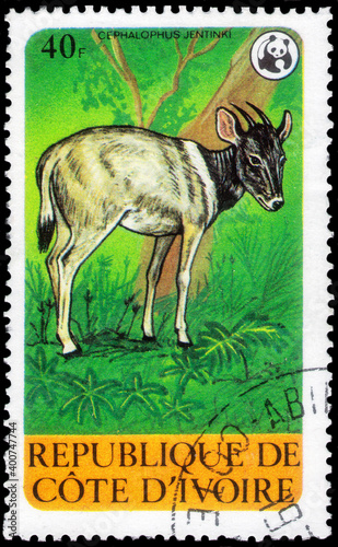 Postage stamp issued in the Ivory coast with the image of the Jentinks Duiker, Cephalophus jentinki. From the series on Wildlife protection, circa 1979 photo