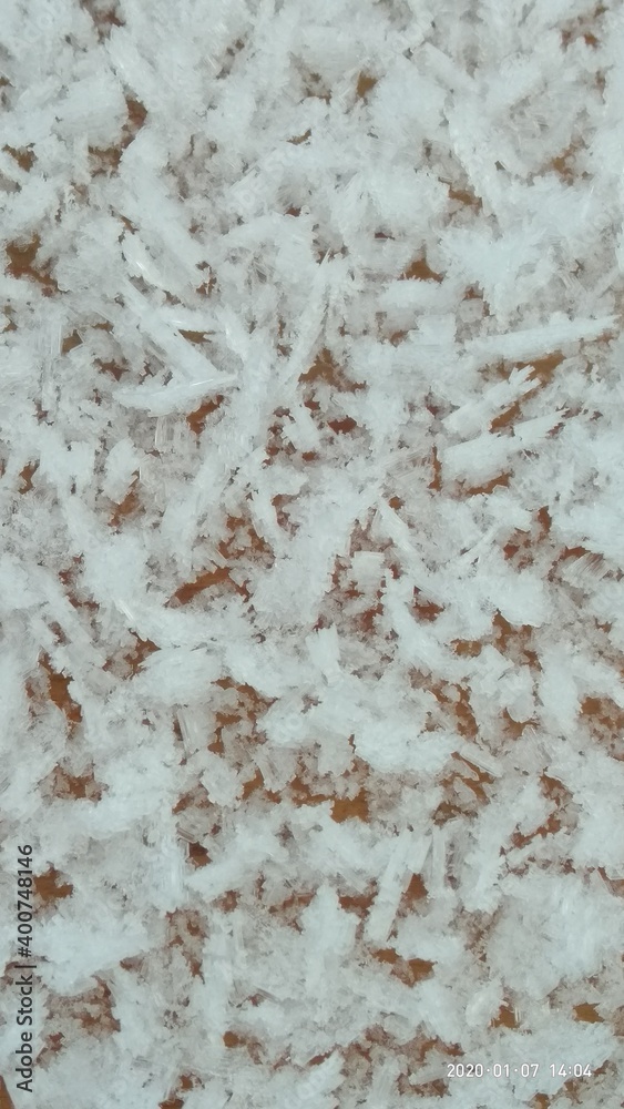 frost frost