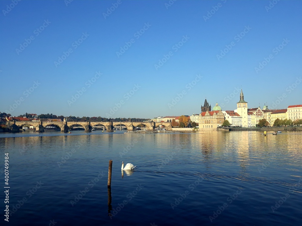 View of Vltava river with Charles Bridge in Czech Republic. Swan on the river.