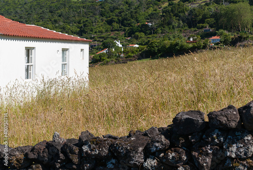 Rural life on the island of Pico