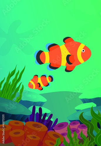 fish and reef