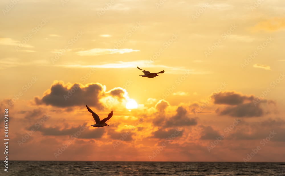 seagulls flight over the ocean in front of a sunset - obrazy, fototapety, plakaty 