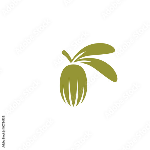 Shea nut green icon. vitellaria beauty and cosmetics oil.