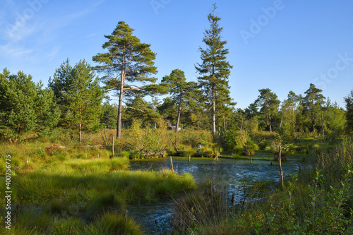 Tister Bauernmoor