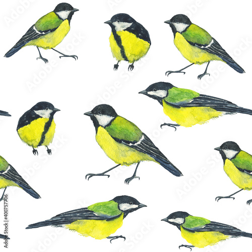 Bird repeat texture Great Tit or Titmouse on white background. Watercolor hand drawing illustration. Perfect for digital paper, wrapping, animal print, wallpaper.
