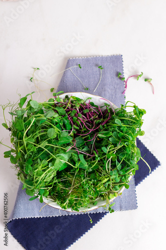 Top view of fresh microgreen sprouts on plate.White background. Microgreens growing. Concept healthy eating