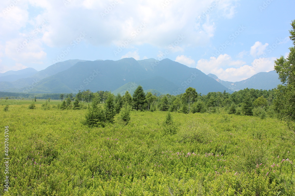 Fototapeta premium 戦場ヶ原と男体山。戦場ヶ原は奥日光に広がる湿原。中禅寺湖をめぐって男体山(二荒山)と赤城山の神様がそれぞれ大蛇と大ムカデに化身し戦った場所と伝わる。