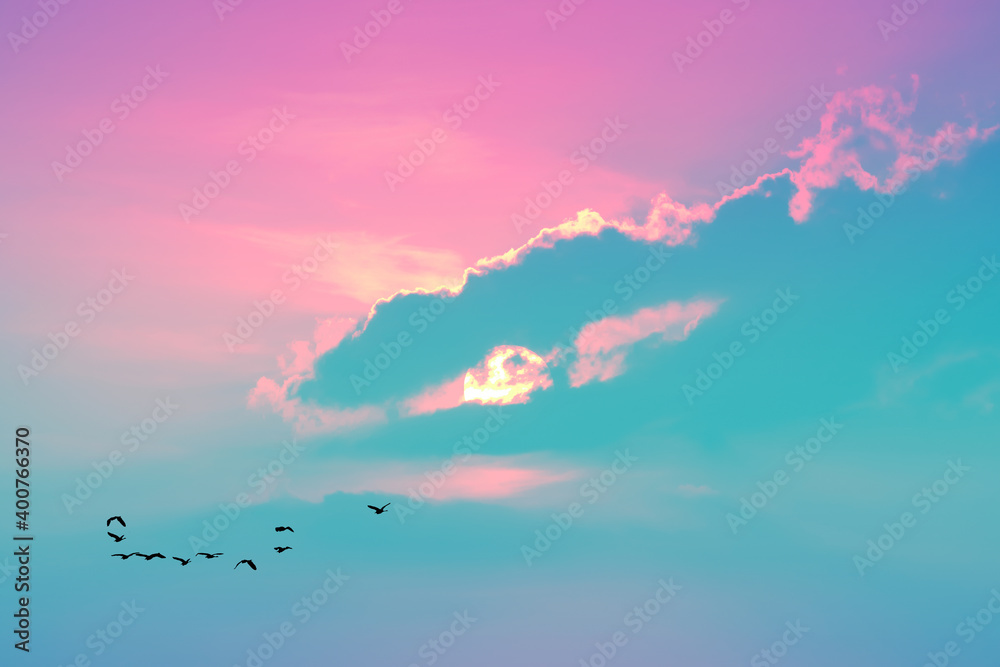 sunset on evening light pastel cloud on the sky and birds flying to home