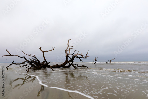 Hunting Island State Park, SC
