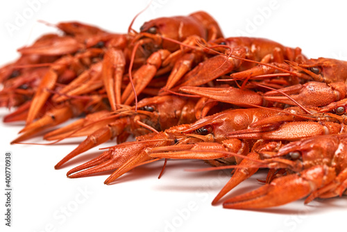 Crayfish-boiled river crayfish on a white background.Space for text.