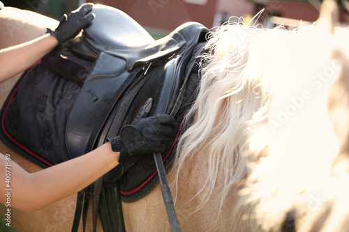 Young woman putting saddle on horse outdoors, closeup. Beautiful pet