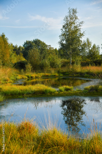 Diepholzer Moor