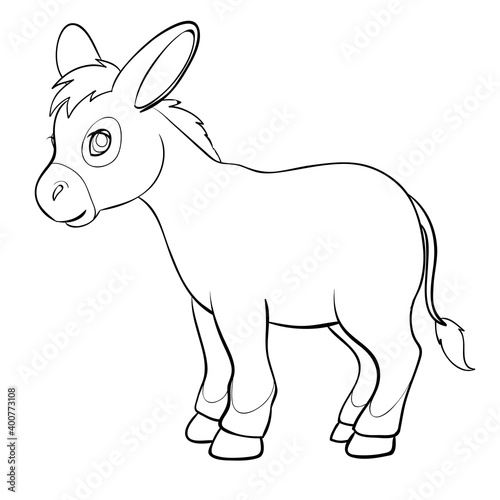 sketch of a cute character colt, coloring book, cartoon illustration, isolated object on white background, vector illustration,