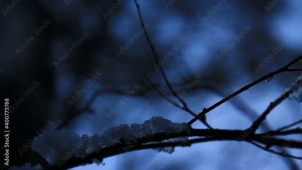 Artistic presentation of icicle, branches with ice drop on it. Close up. Cold winter time, dark night begins. Artistic presentation of icicle, branches with ice drop on it. Close up. Cold winter time, dark night begins.