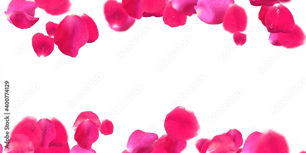 Rose Petals Stock Image