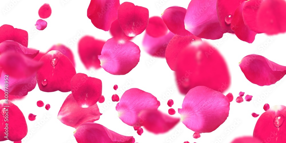 Rose Petals Stock Image Rose Petals Stock Image